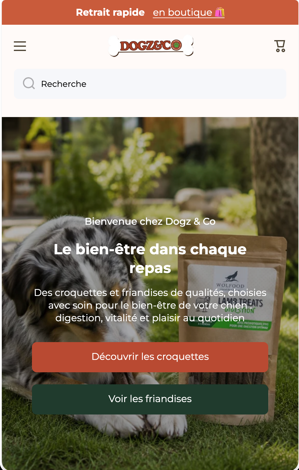 Site Dogz et Co en version mobile